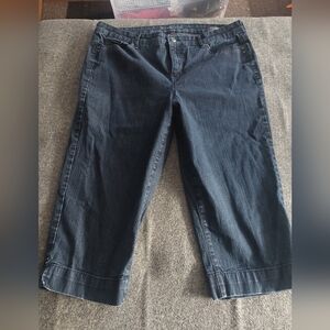 Gloria Vanderbilt Jordyn Capri‎ 14